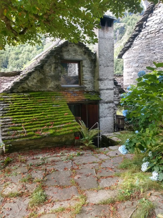 some kind of building with a roof and ivy growing on it