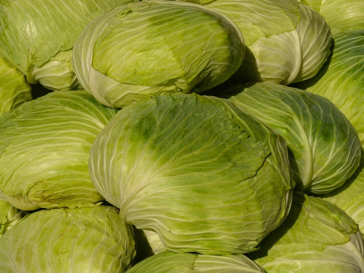 a large pile of cabbage heads in the market
