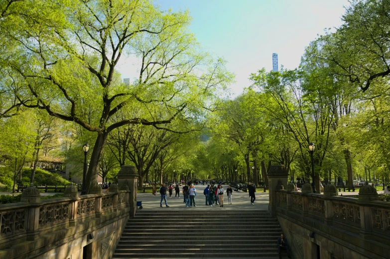 people are walking on the steps leading to the park