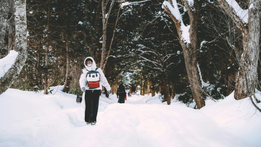 a person walking through a snowy woods in a winter scene