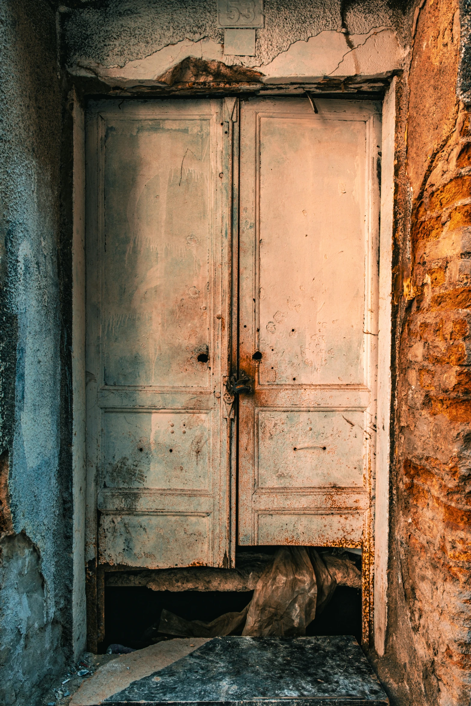 an image of a dog lying under the doors