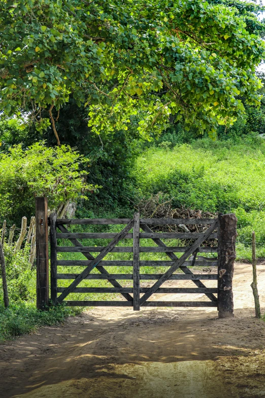 a metal and wooden fence with trees in the background