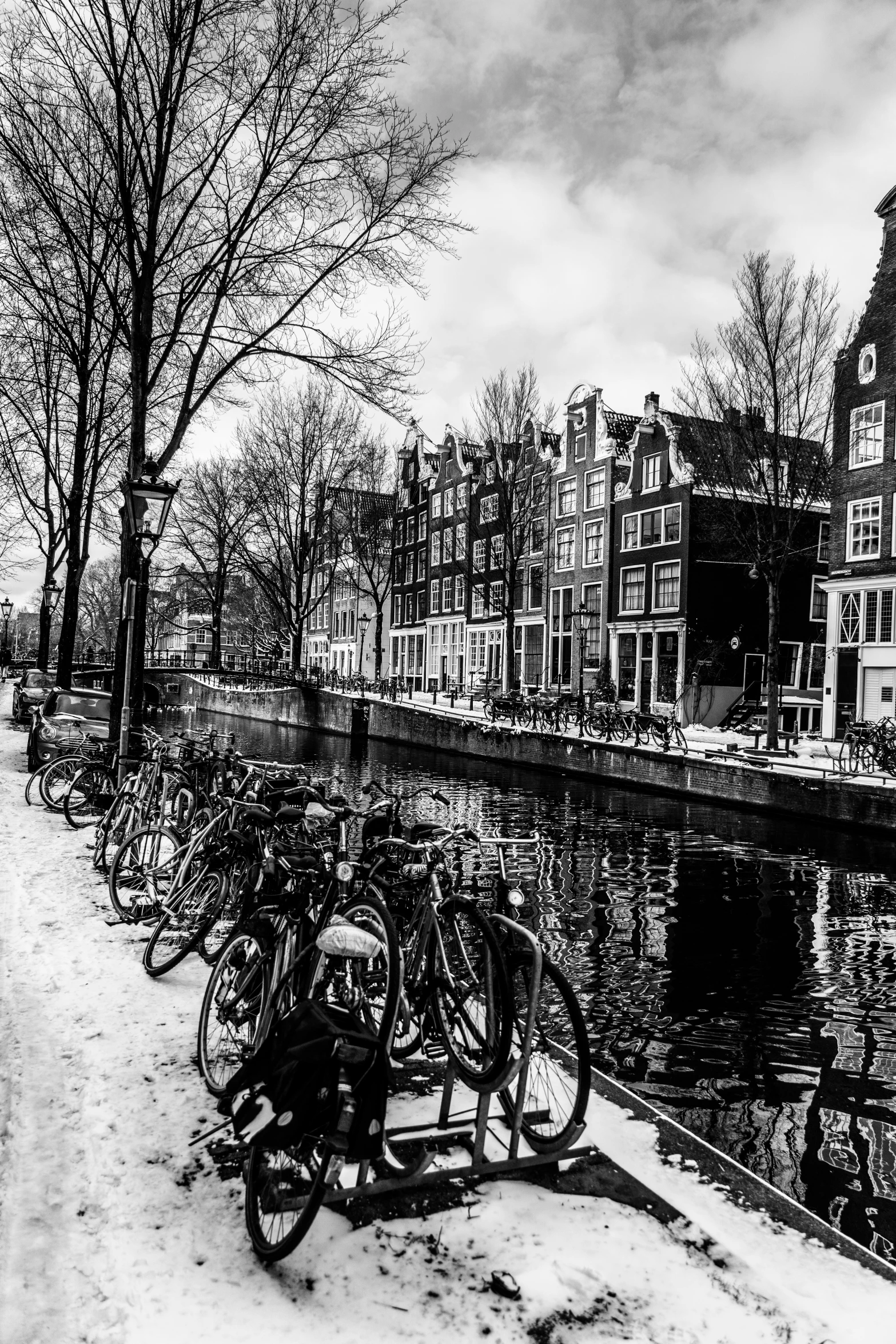 a line of bicycles parked on the side of a body of water