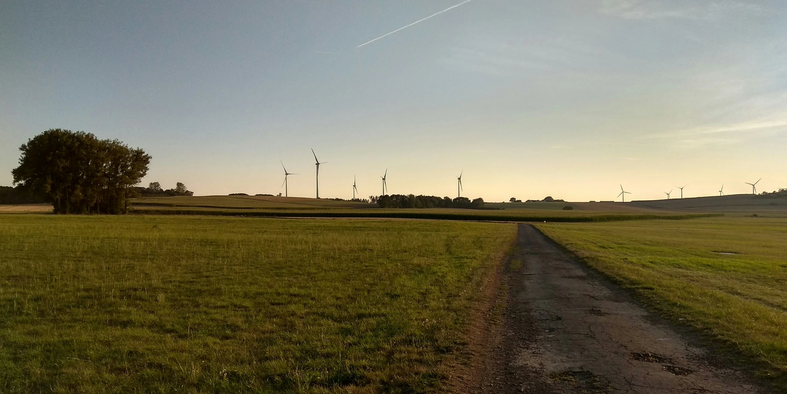 a grassy field with wind mills in the distance