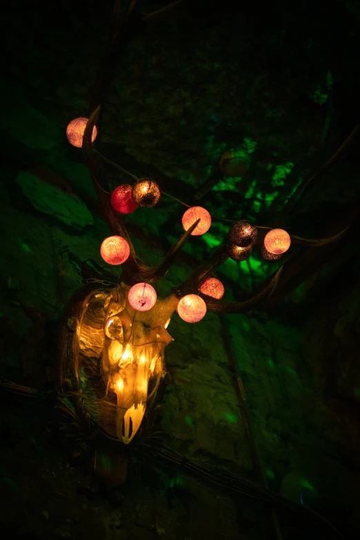 lighted nches and various lights on rocks at night