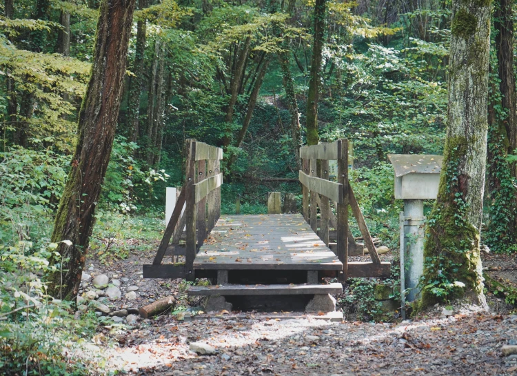 the bridge leads into the woods on one side of the path