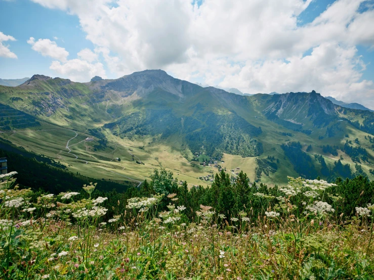 the mountains are lush with flowers in the foreground