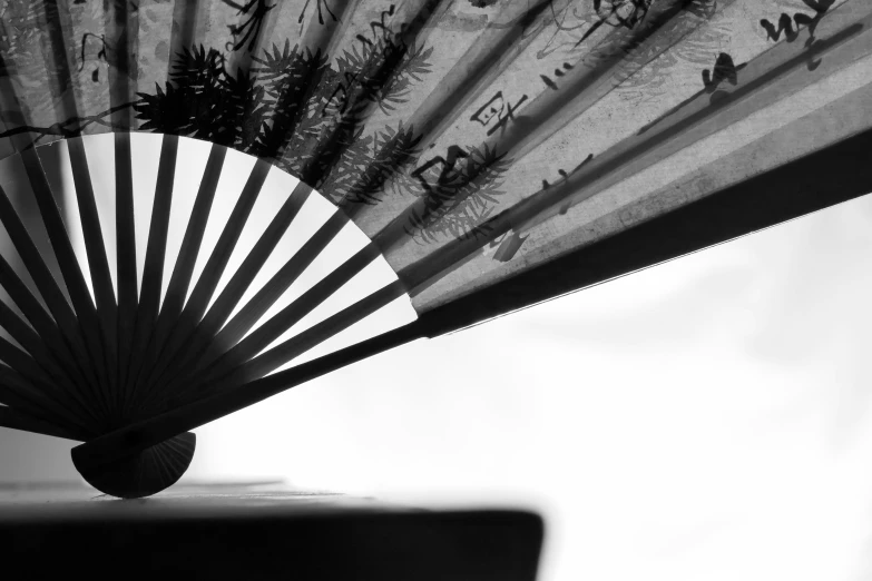 a black and white po of an elaborate fan