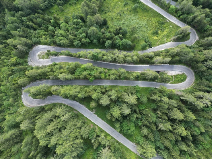 three winding roads going through the forest