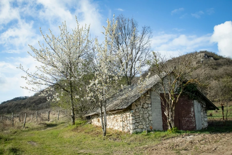 an old thatched stone building with no roof