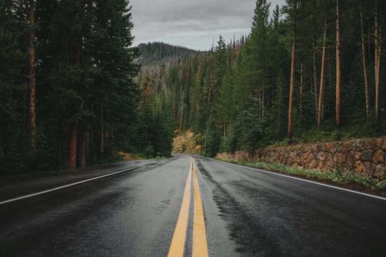 a wet road lined with pine trees and rocks