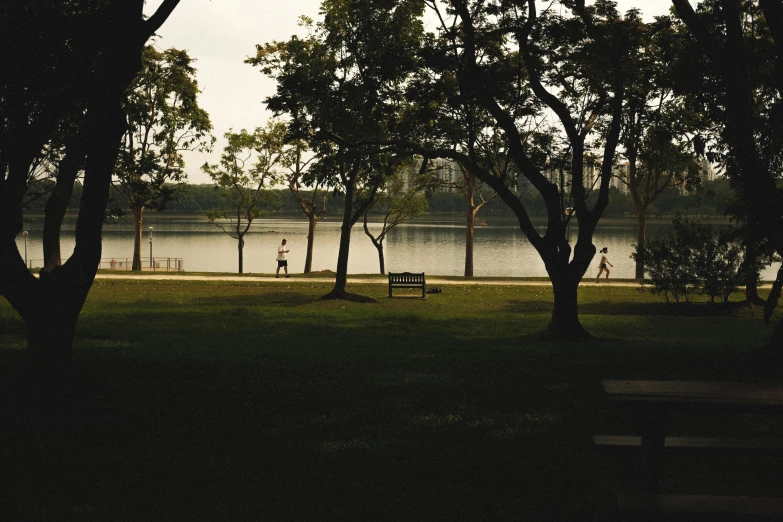 the park has a body of water next to it