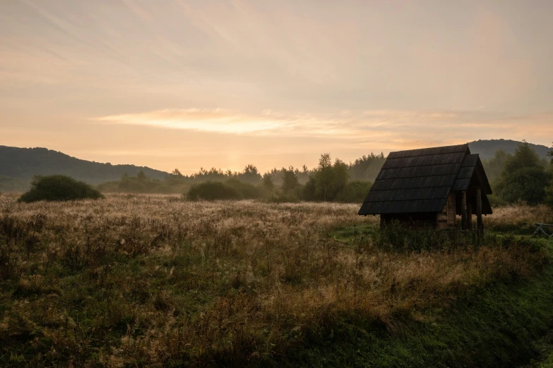 a small wooden cabin is in a grassy field