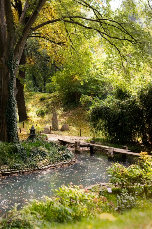 a path through a park with benches by the creek