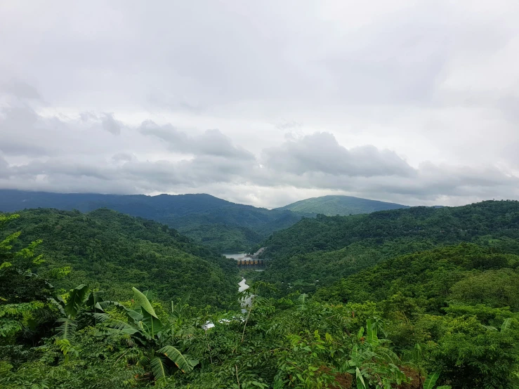 a green forest with river and mountains behind it