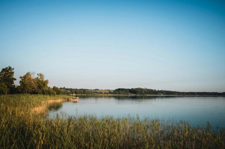 a lake with trees and grass on the side