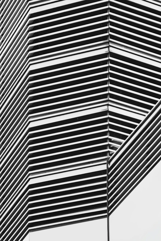 two abstract lines on a building in a black and white picture