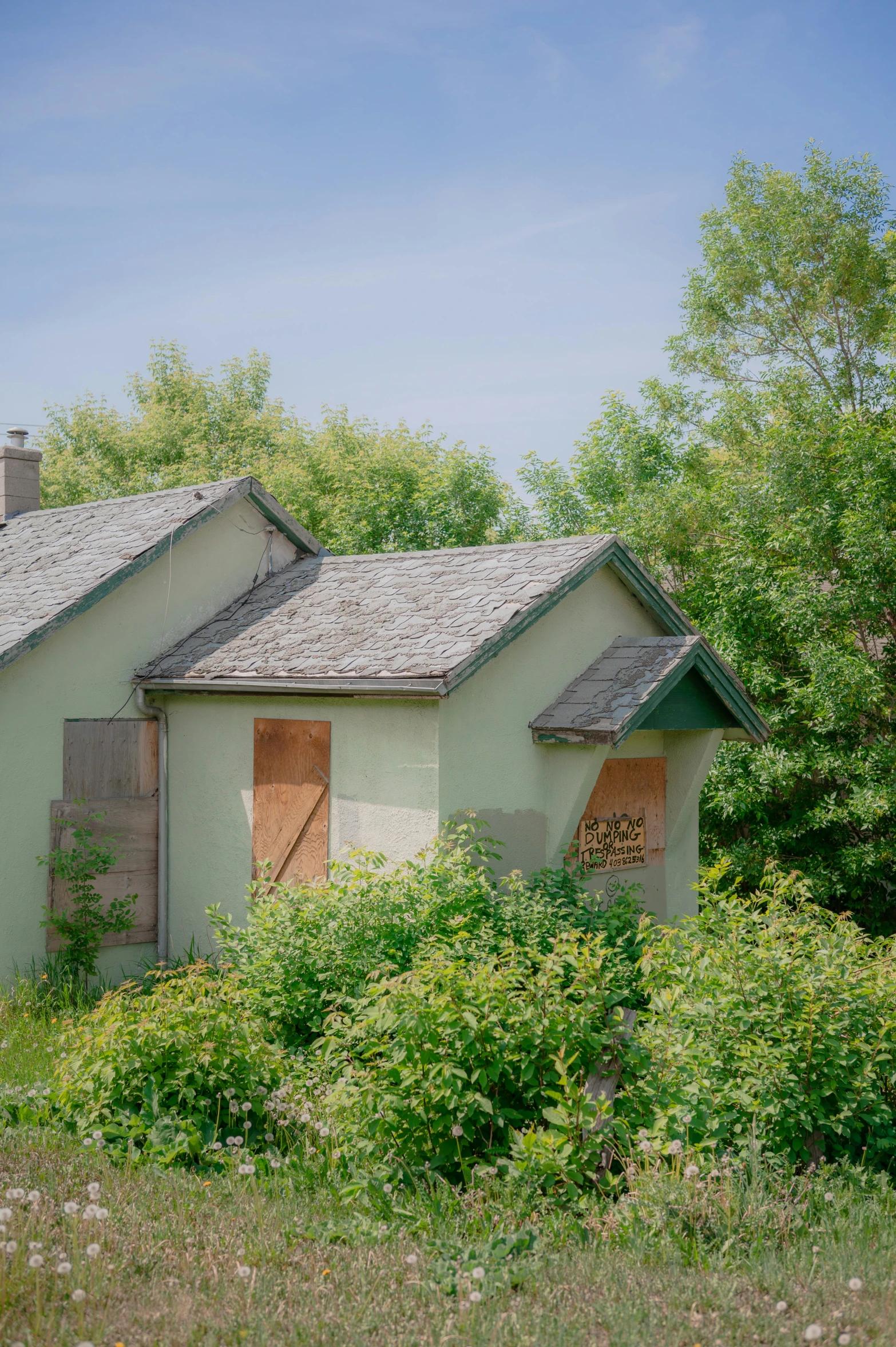 this is a old run down house and overgrown shrubs