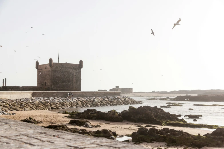 an old castle and seagulls flying above the ocean