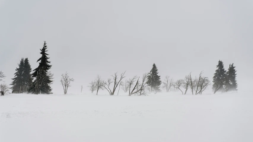 an empty field full of snow with trees in the background