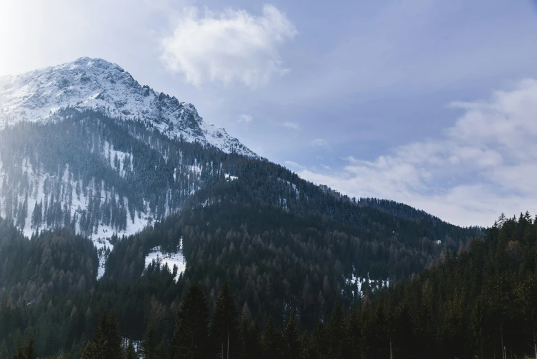 an evergreen covered mountain under a bright sun