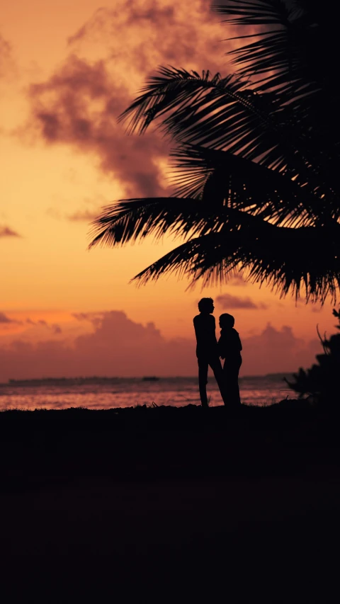 two people are looking at the ocean under a palm tree