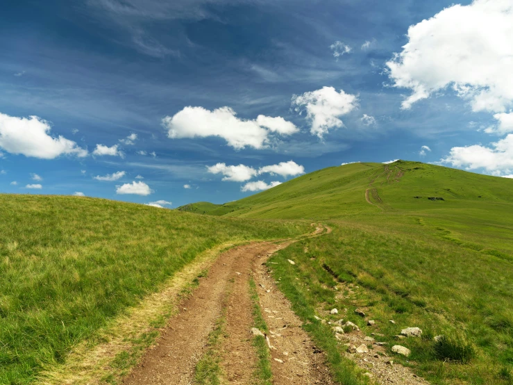 a green hill with dirt tracks going into the distance