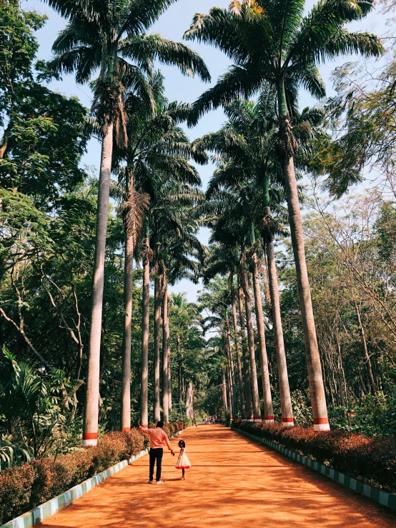 the boy is walking next to the group of trees