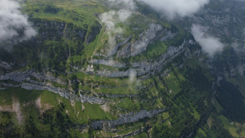 the rocks and grass are covered in thick fog