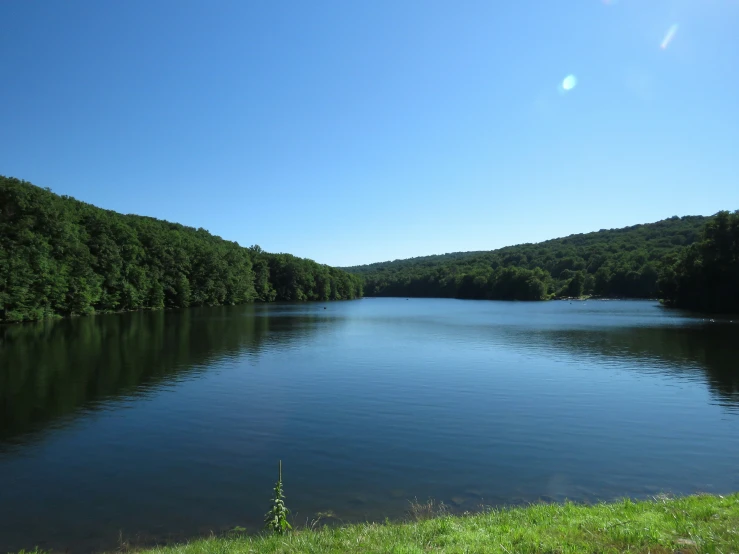 a body of water surrounded by a lush green forest