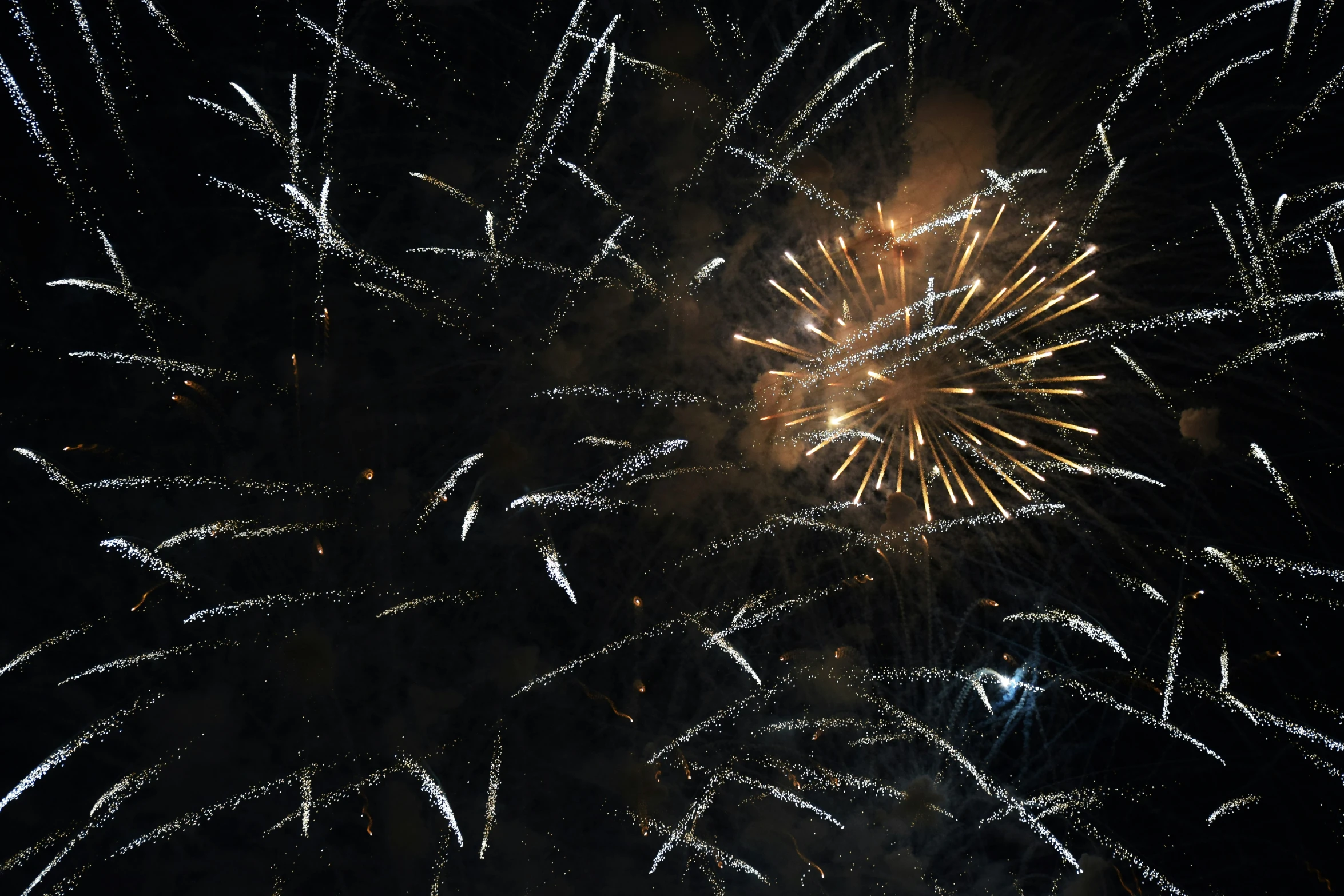 the firework in the dark shows bright, colorful lights