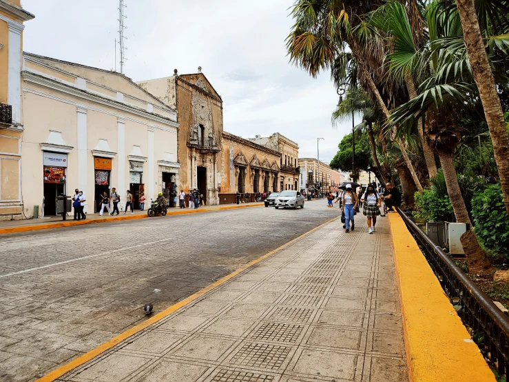 a street scene showing shops and palm trees