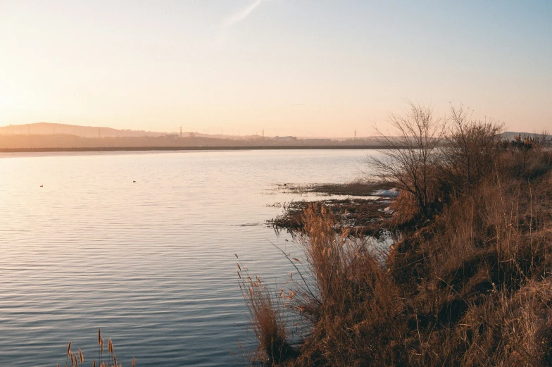 the train is driving along the water's edge