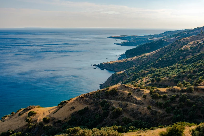 a valley with green plants near the ocean