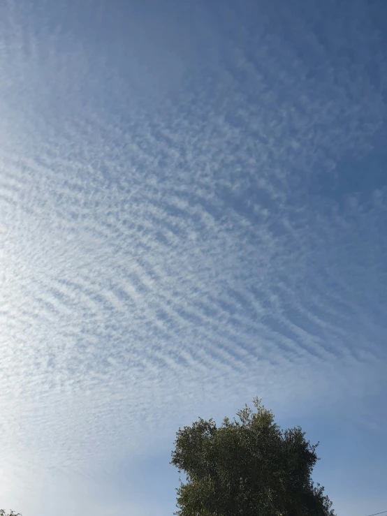 some clouds are forming over a tree