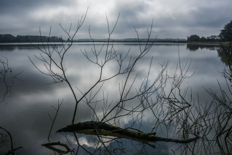 a large lake surrounded by lots of trees