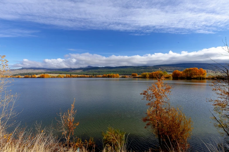 a lake surrounded by trees with a blue sky in the background