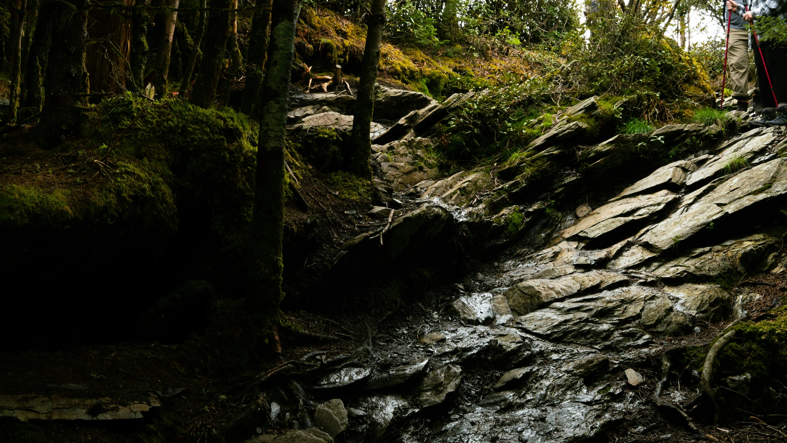 a guy riding his snowboard down a small stream