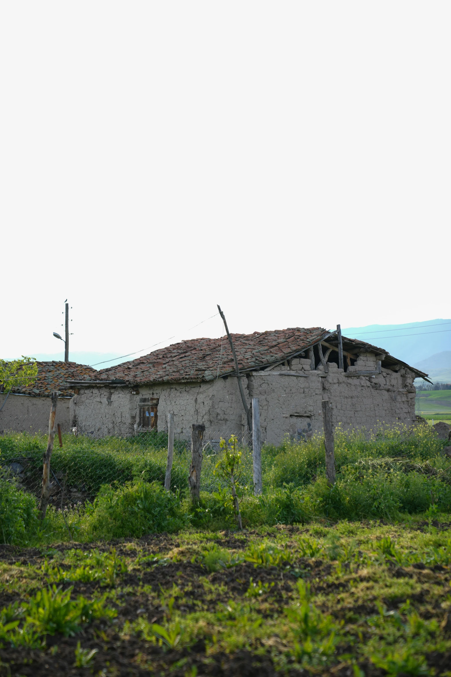 an old building with grass growing all around