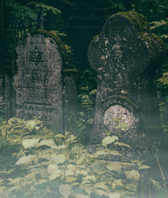 there are many tombstones in the woods