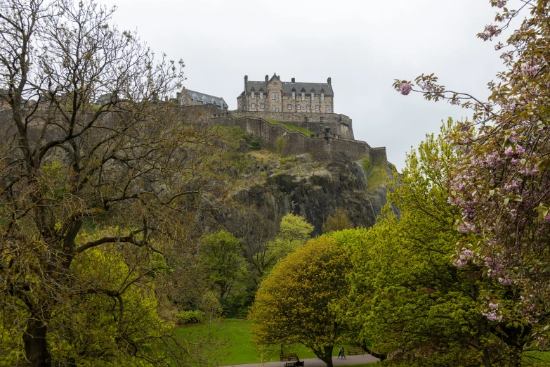 the castle is high above the forest, with lush green plants and trees