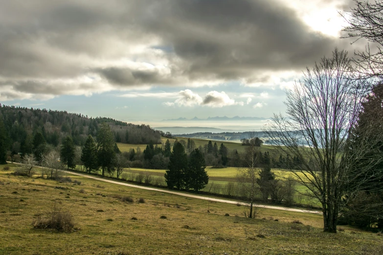 a landscape with lots of green trees under some gray clouds