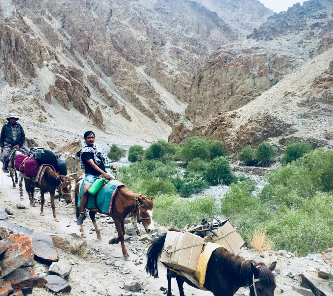 two people on horses are driving through the desert