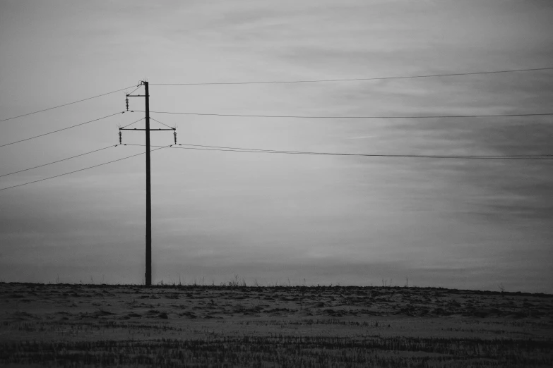 telephone poles stand in a field near power lines