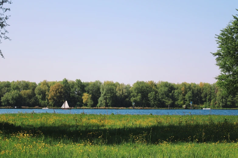 an open field with lots of green grass