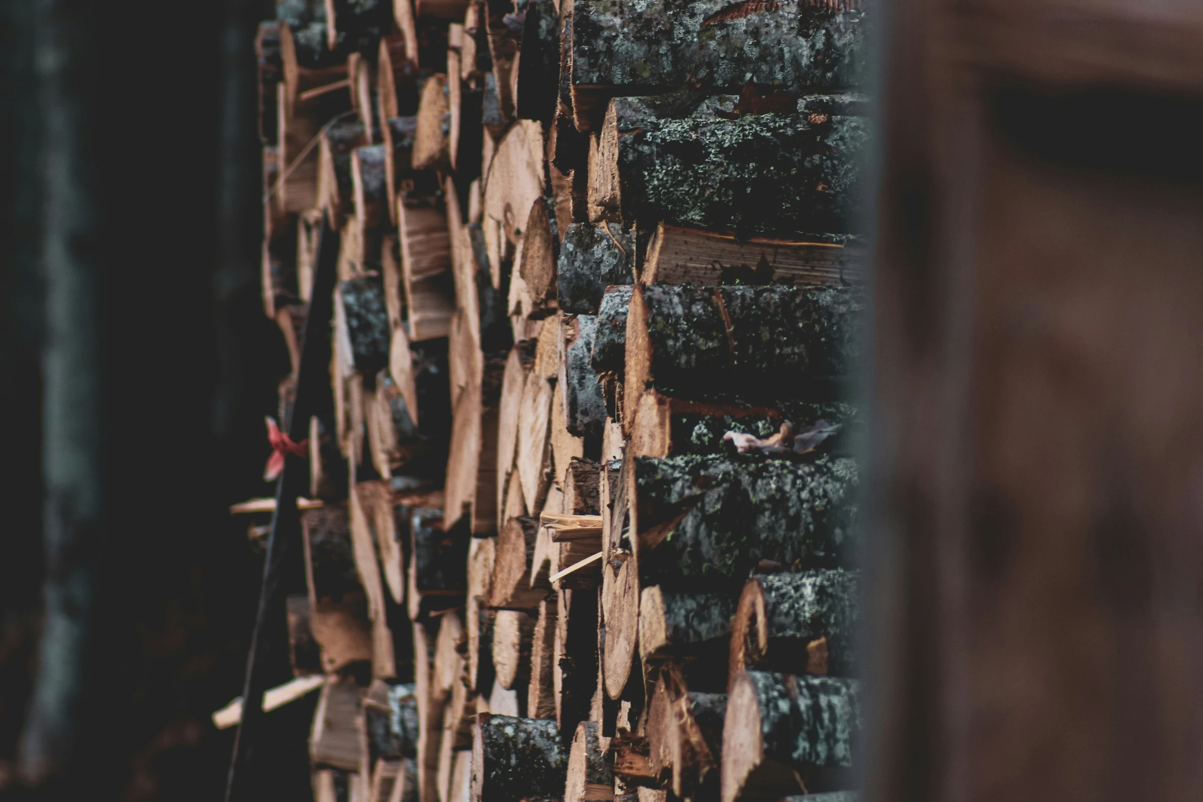 a person climbing up the side of a large log