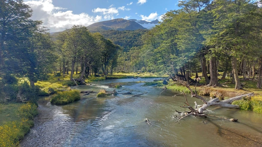 a river surrounded by woods and hills near trees