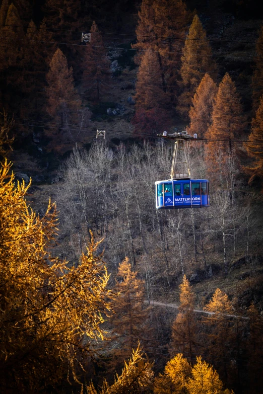 an aerial cable car going uphill near a forested mountain