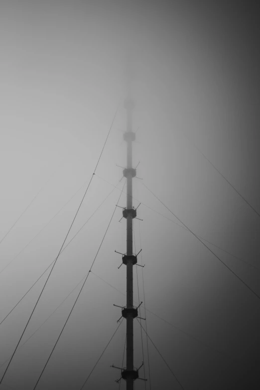an upward view of a telephone pole in the fog