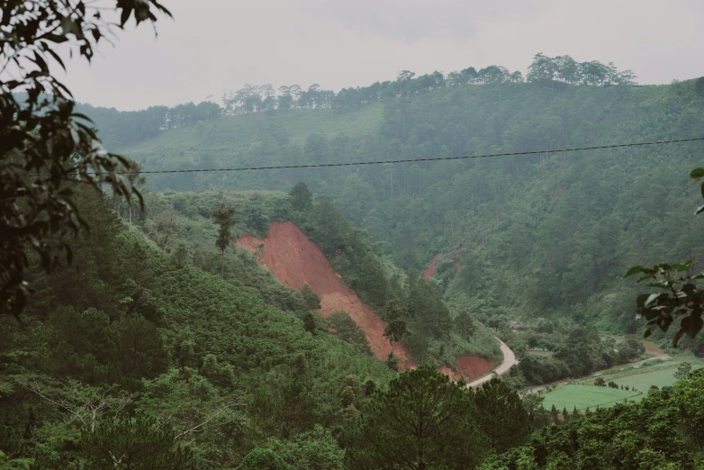 a mountain landscape with a green forest and road